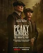 美剧《浴血黑帮:不朽传奇》电视剧完整版全集免费在线观看