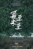 《夏至未至》电视剧全集免费观看完整版
